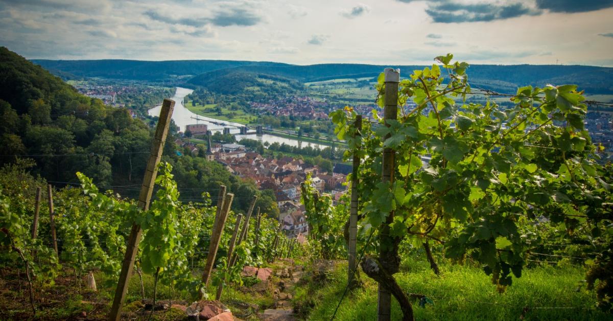 Was Marielle weiß in Landsberg am Lech Bayern Tourismus